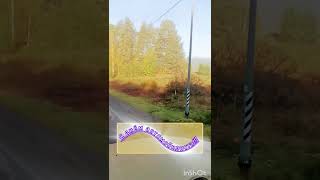 #работа  С днём автомобилиста! Поздравляю всех причастных!