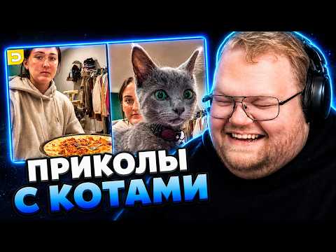 Т2х2 СМОТРИТ ▷ ОНА — ГЛАВНАЯ ГЕРОИНЯ // DAILY DOSE OF PETS