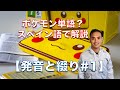 ポケモン単語をスペイン語で解説してみた【発音と綴り編#1】