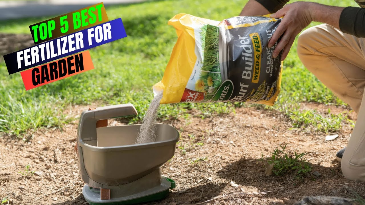 Best Fertilizer For Garden in 2023 Top 5 Fertilizers for Garden