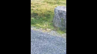 Our Daughter's WILD REACTION To What She Just FOUND! (WATCH UNTIL THE END!) 😳😳😳