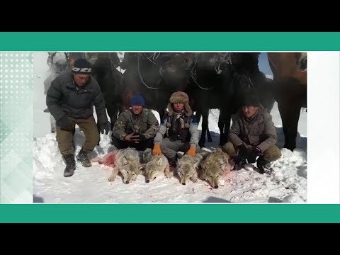 Video: Сага чыккынчылык кылган досуңдан кантип өч алса болот