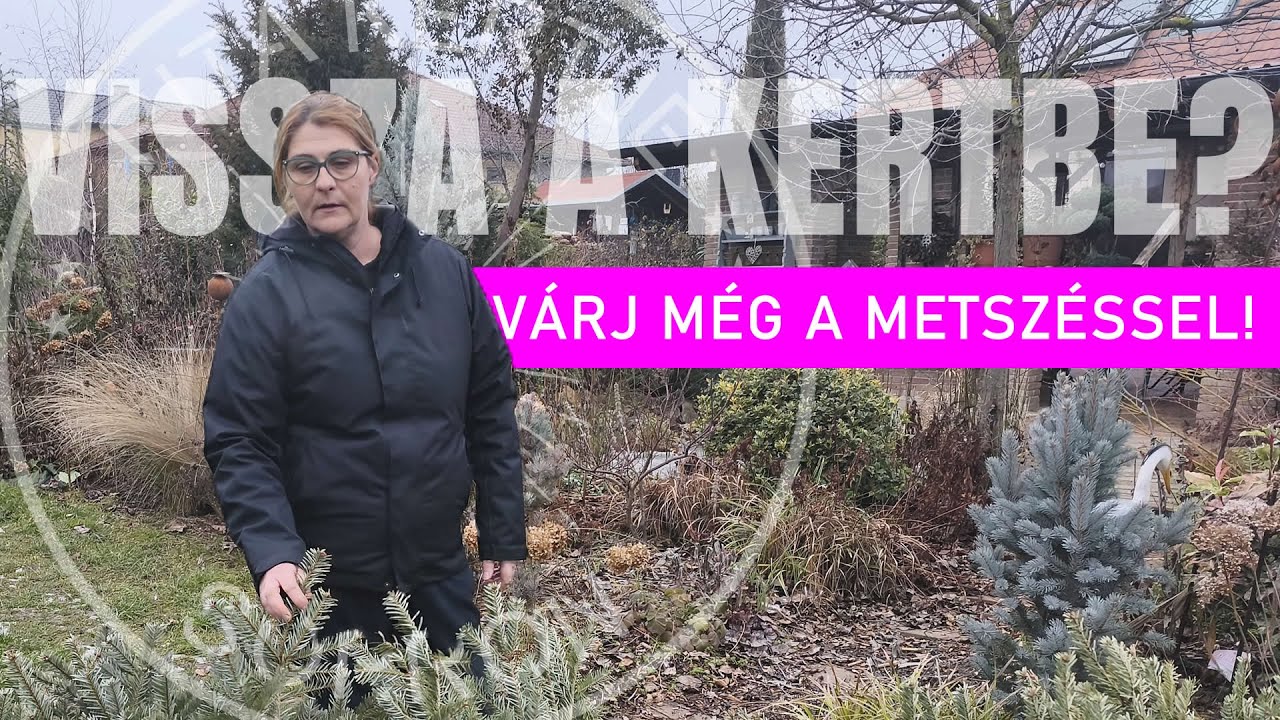 Kerti munkák január végén – MIT NE csinálj még?