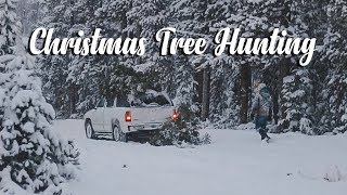 Christmas Tree Hunting