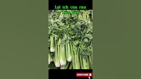 Lợi ích của rau cần tây. #shorts  #baihoccuocsong