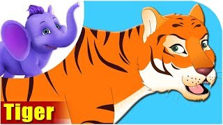Animal Songs for kids | Tiger Songs