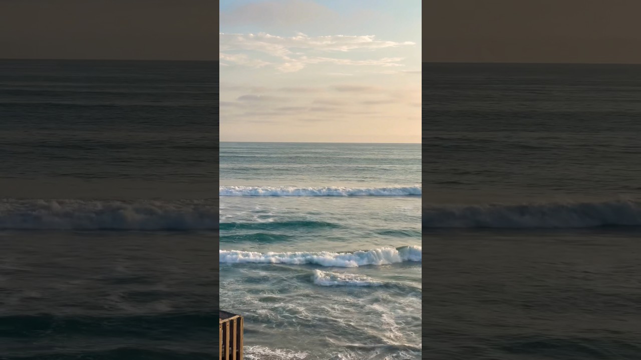 Your soul is longing for ☮️ . 