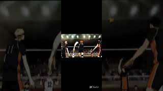 Hinata Shoyo | Animals #haikyuu #maroon5 #shoyohinata