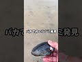 【検証】巨大ドブガイを見つけたので女性に食べさせてみたら！？＃Shorts