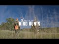 Greystone Castle Bird Hunts | Upland, European Pheasant &amp; Duck Hunting in Texas