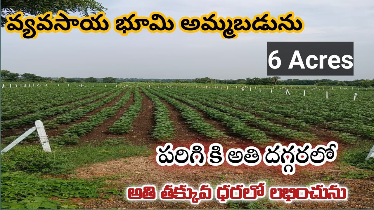 Agricultural land for sale 6 acres land near to parigi chance