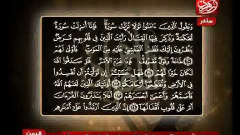 الشيخ حسن مرعب سورة محمد من الآية 20 إلى الآية 23