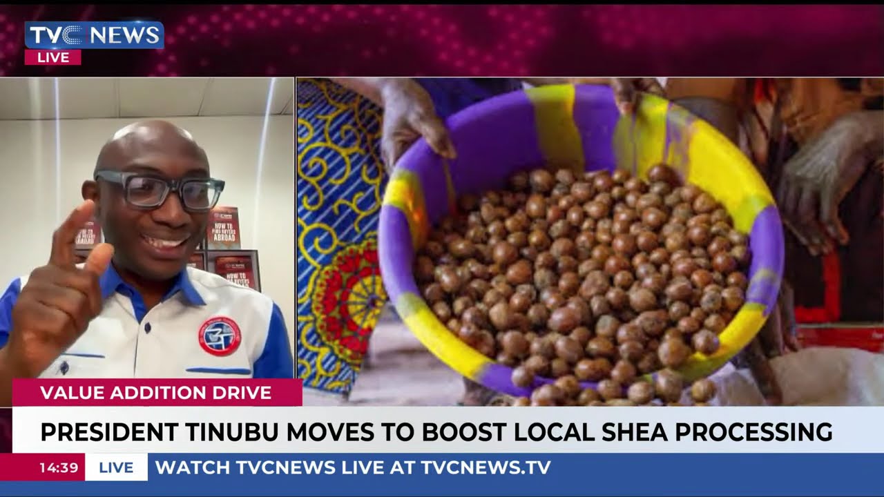 Bamidele Ayemibo Analyses President Tinubu's Shea Value Chain Reform