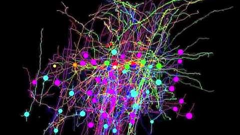 EM reconstructions labels2   Computer