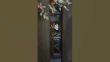 تلاوة خاشعة ومؤثرة القارى إسلام صبحي 🎧❤️‍🩹#اسلام_صبحي #اكسبلور #أرح_سمعك_وقلبك #حالات_واتس