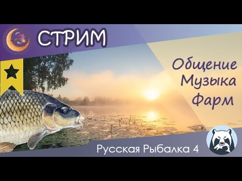 Видео: Ищем трофеев на озере Янтарное  /  Вечерний стрим   #rf4 #русскаярыбалка4 #рр4