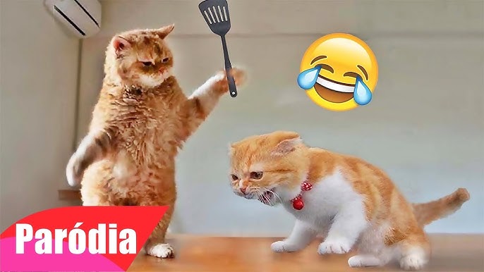 VIDEOS ENGRAÇADOS DE ANIMAIS - TENTE NÃO RIR #shorts ￼ 