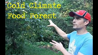 Cold Climate Food Forest - Canadian Permaculture Legacy