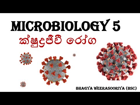 Biology|EP31|ක්ෂුද්‍රජීවී රෝග|Microbiology5