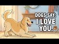 If Your Dog Stretches When They See You… This Is What It Really Means..