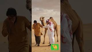 Lost in a Desert Storm! 🌪️🐪 | Aftab and Kafeel Fight to Survive While crossing the Saudi desert with