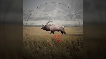 Moment of Truth: What Makes a Great Rangefinder?