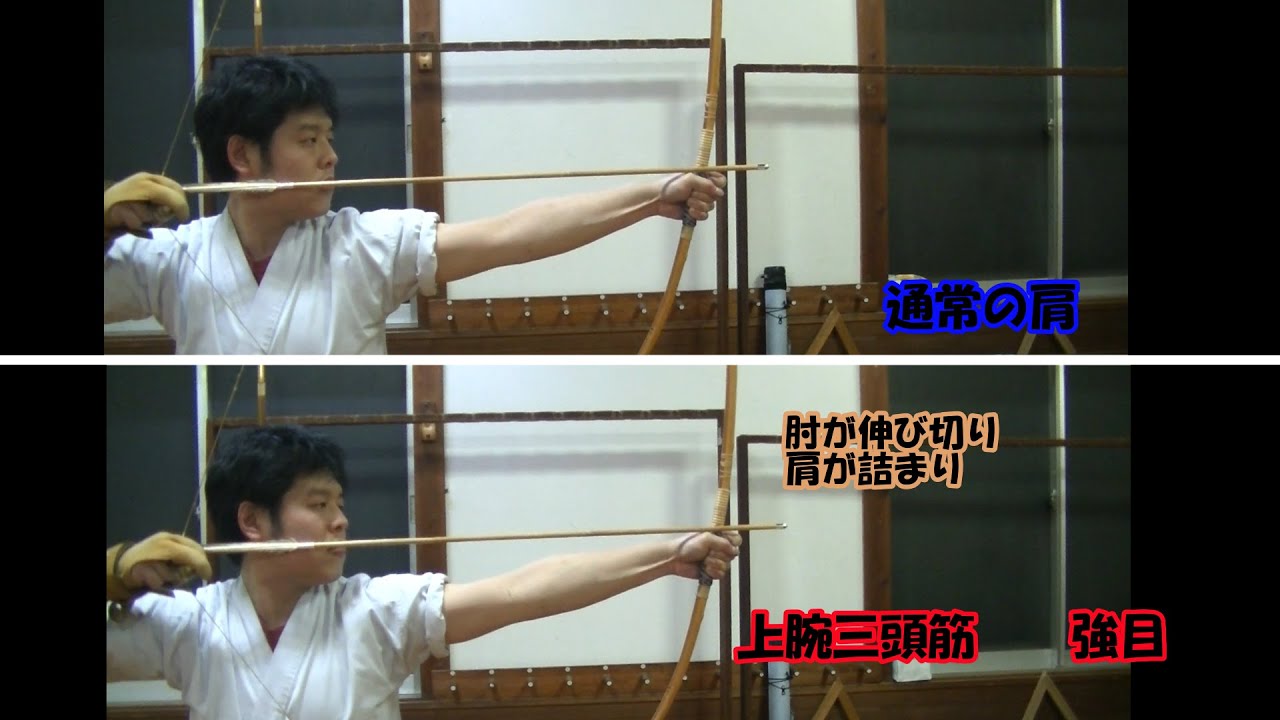 左腕（肩・肘）の働きについて考察してみました。（左肩の詰まりの原理等）