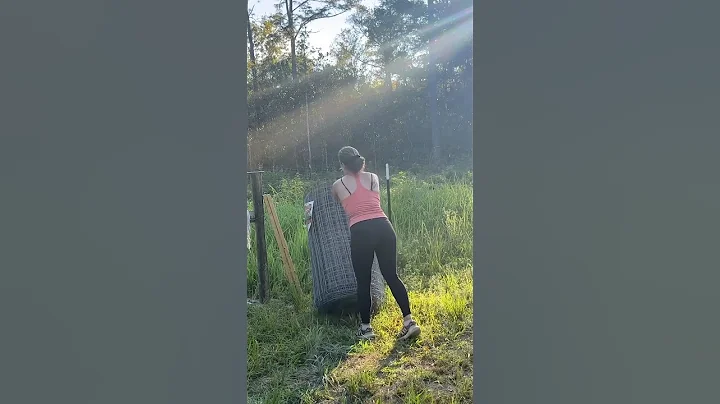 Building a goat fence #homestead #countrylife #fencing
