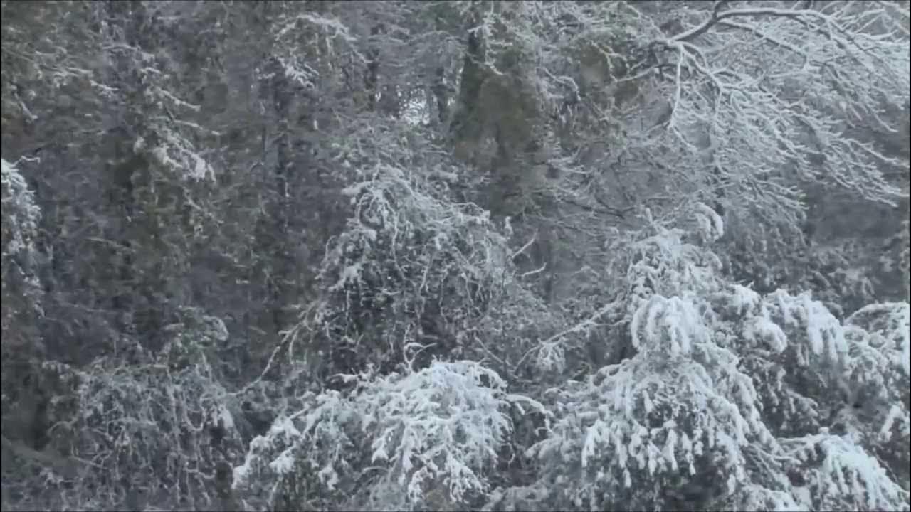 Frank Sinatra - Let it snow Frank Sinatra - Let it snow