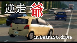 東京に向かうためにわざと逆走して大事故を巻き起こす逆走爺【BeamNG】 screenshot 2