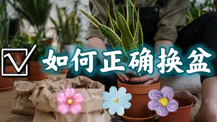 ✅花卉正确换盆，专业步骤详解 - 天天要闻