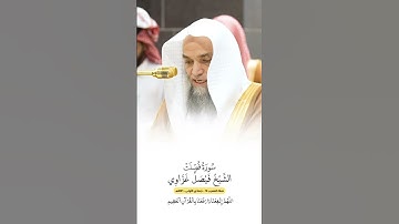 سورة فصلت | الشيخ #فيصل_غزاوي