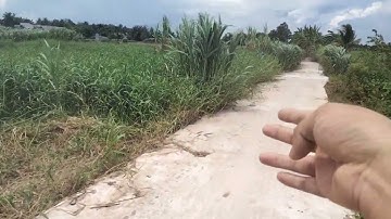 địa chỉ vĩnh hưu gò Công Tây tiền Giang. giá 330tr. mỗi lô. SĐT 0907198665