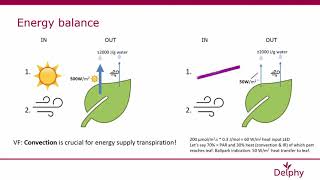 Scaling up plant production in vertical farms