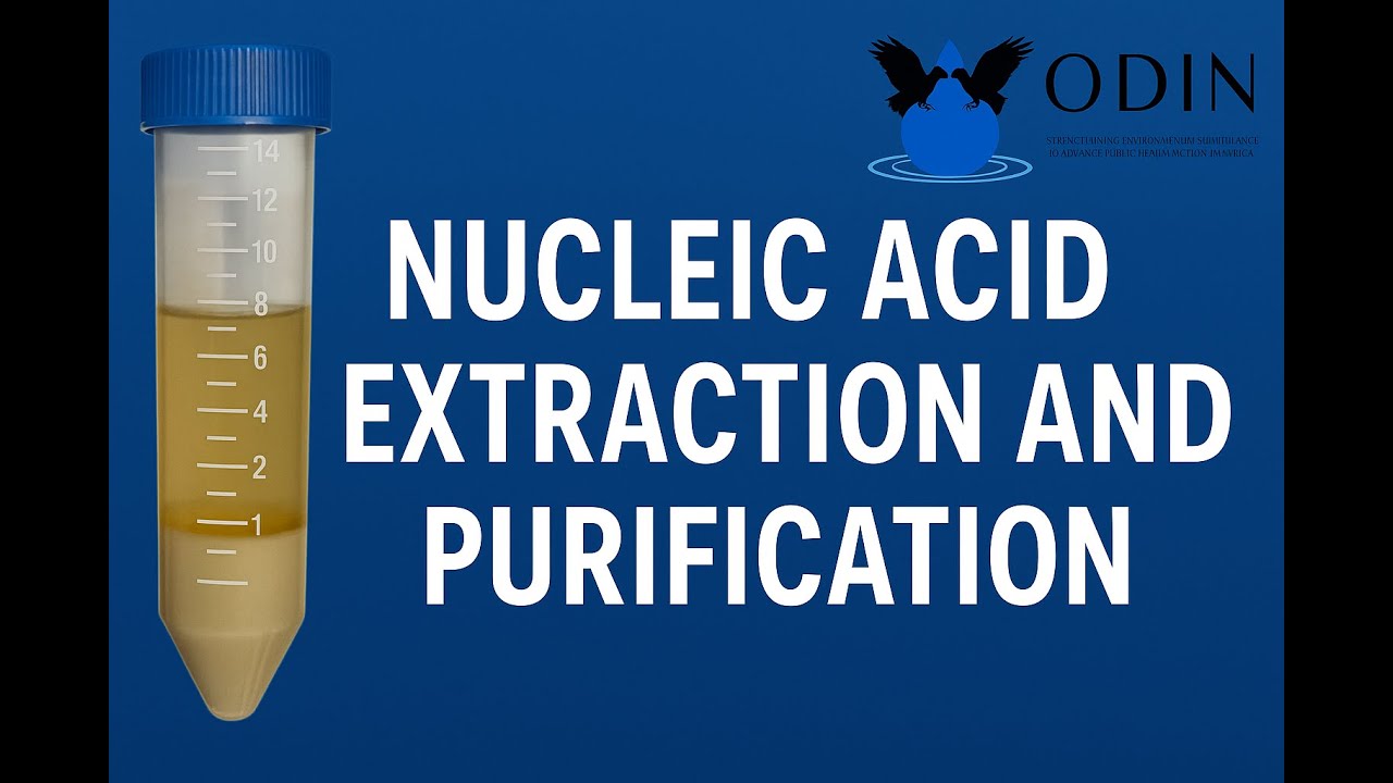 3. Nucleic acid extraction and purification - YouTube