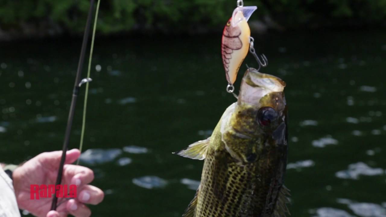 How to Fish for Smallmouth Bass During the Day