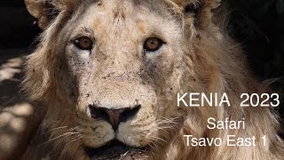 Kenia 2023 - Safari 1 - Tsavo East Nationalpark | Die Brinkmanns