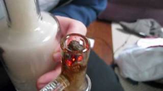 Snap with hash on top out of Toro Mini Circ/Circ