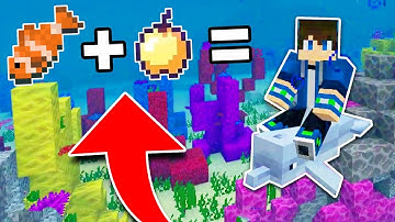 How to RIDE DOLPHINS in Minecraft TUTORIAL! (Pocket Edition, Xbox, PC)