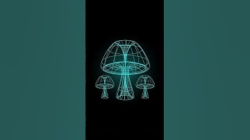 Create 3D Wireframes in Adobe illustrator