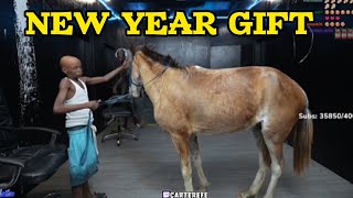 KOLU BROUGHT GIFT FOR CATAREFE FOR THE NEW YEAR CELEBRATION IT'S SO FUNNY🤣 #kolu #catarefe