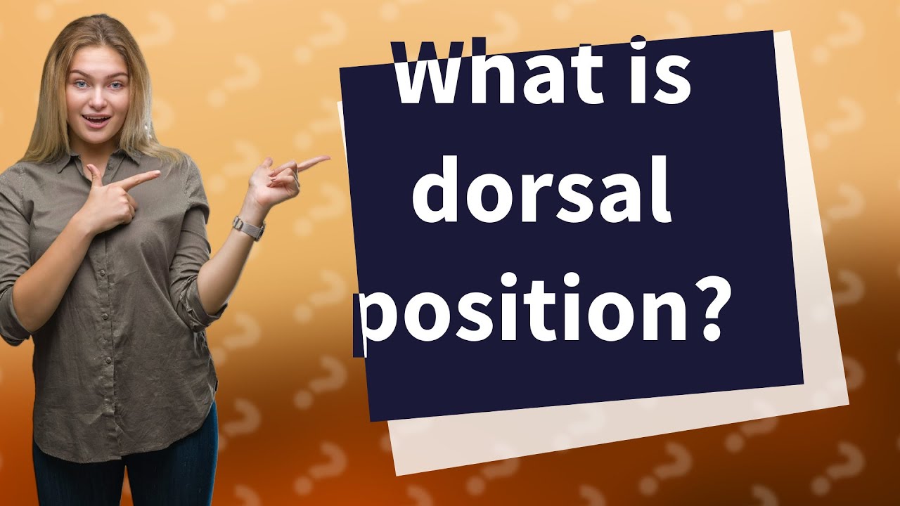 What Is Dorsal Position YouTube What Is Dorsal Position YouTube