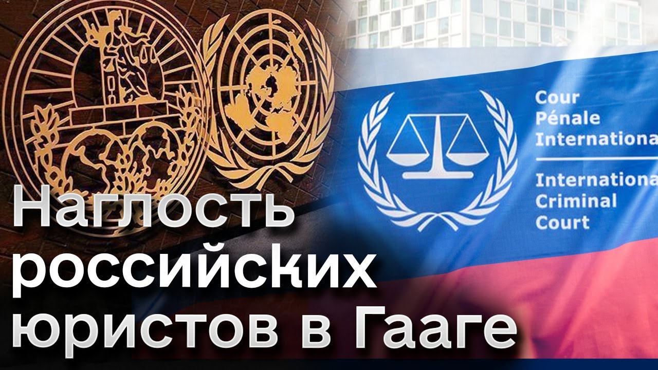 кенгуру суд кенгуру суд