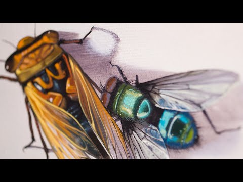 Video: De Verste Insektene