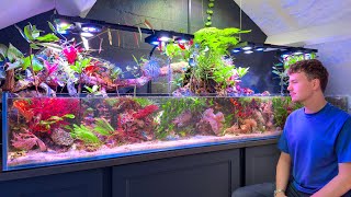 Saltwater Paludarium Maintenance Isn’t What You Think