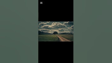 قرآن بصوت جميل | تلاوة تريح القلب ❤