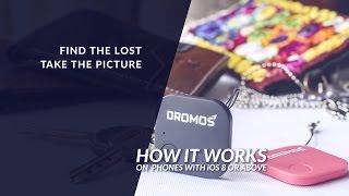 Alphabetical verbs. - london : black swan, 2009. Appearance board game. One card dungeon настольная игра. You summertime a lose.