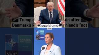 Trump gets schooled again after Denmark’s PM tells him Greenland’s “not for sale”