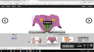 Pixorize Tutorial