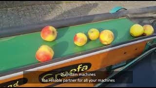 Greefa a3 apple grader
